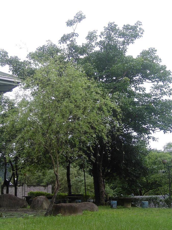 Fumei Bluebird Homestay Nanzhuang Eksteriør bilde