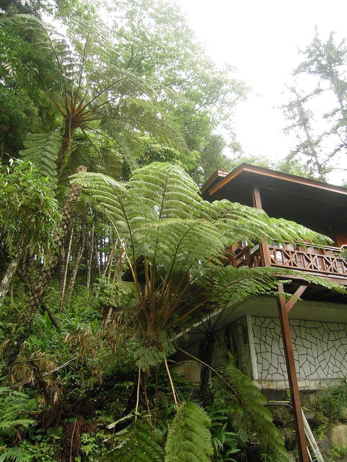 Fumei Bluebird Homestay Nanzhuang Eksteriør bilde