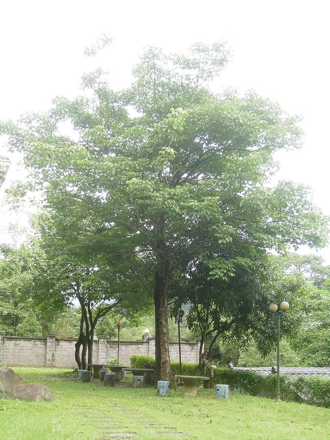 Fumei Bluebird Homestay Nanzhuang Eksteriør bilde